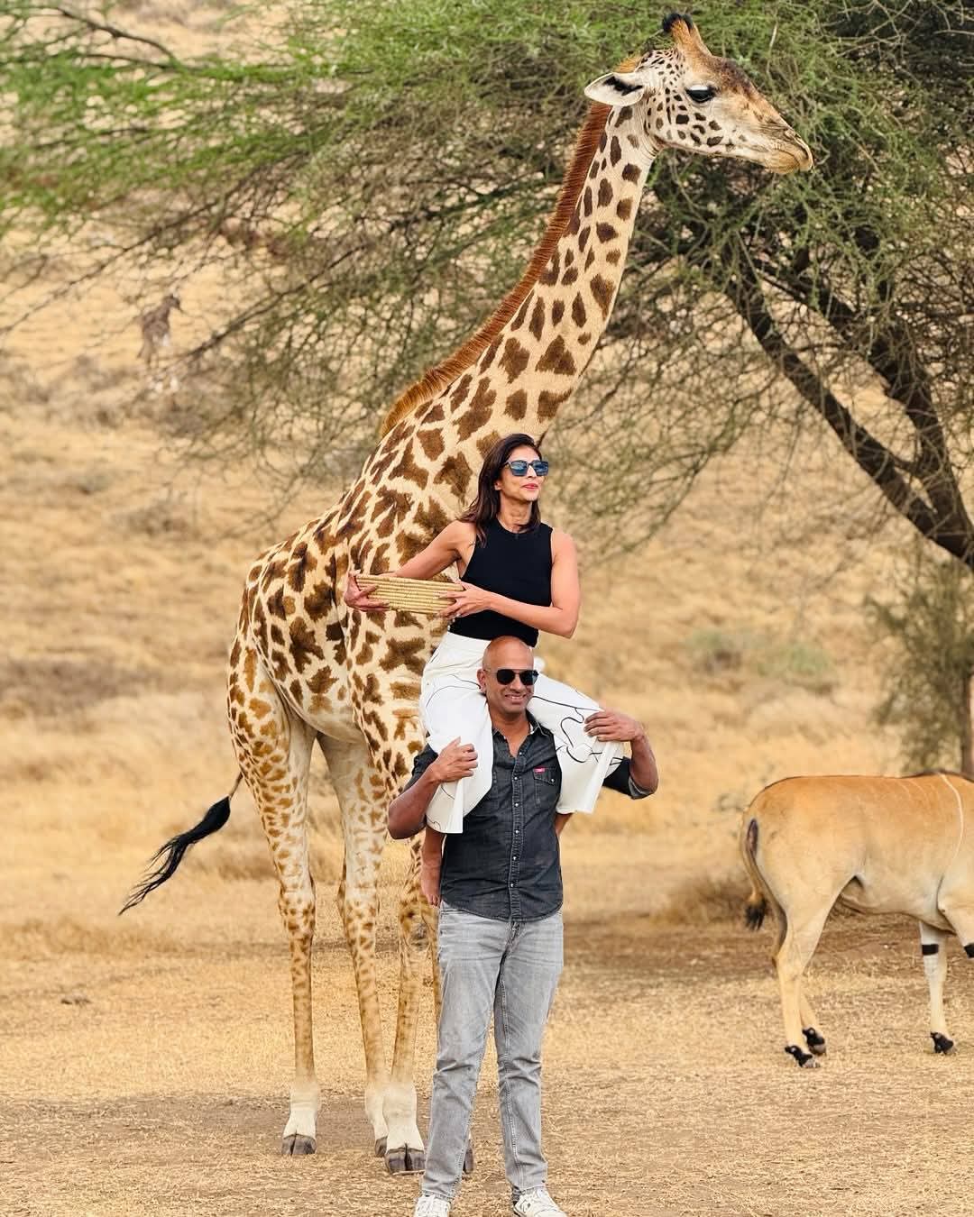Serval Wildlife Experience